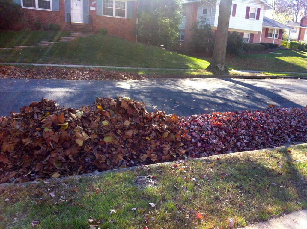 curbside-leaf-pickup-webster-penfield-leaves-1024x765